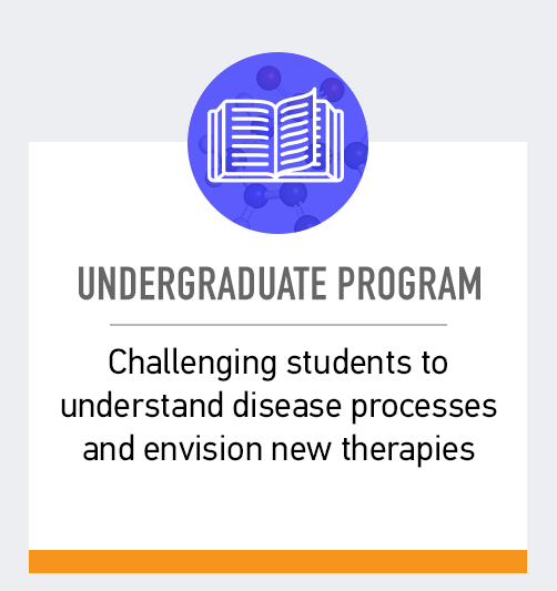 undergraduate program